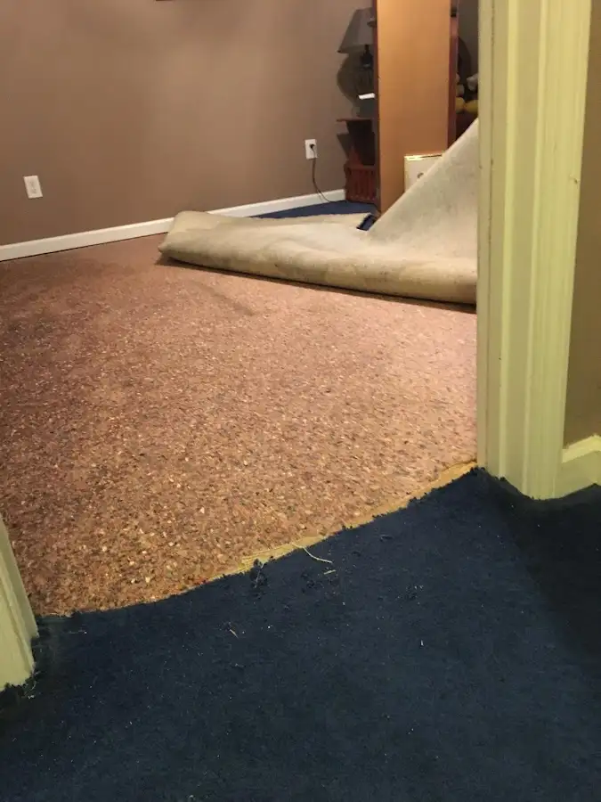 Carpet pad removal revealing water damage during Drying & Dehumidification in Camden
