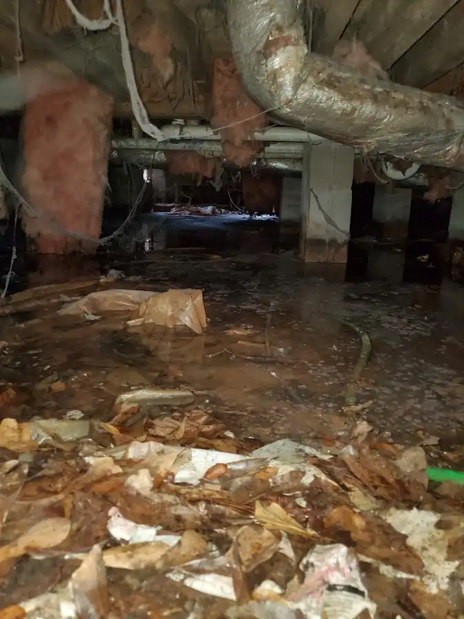 Crawl space flood assessment for Leak Detection & Repair in Camden